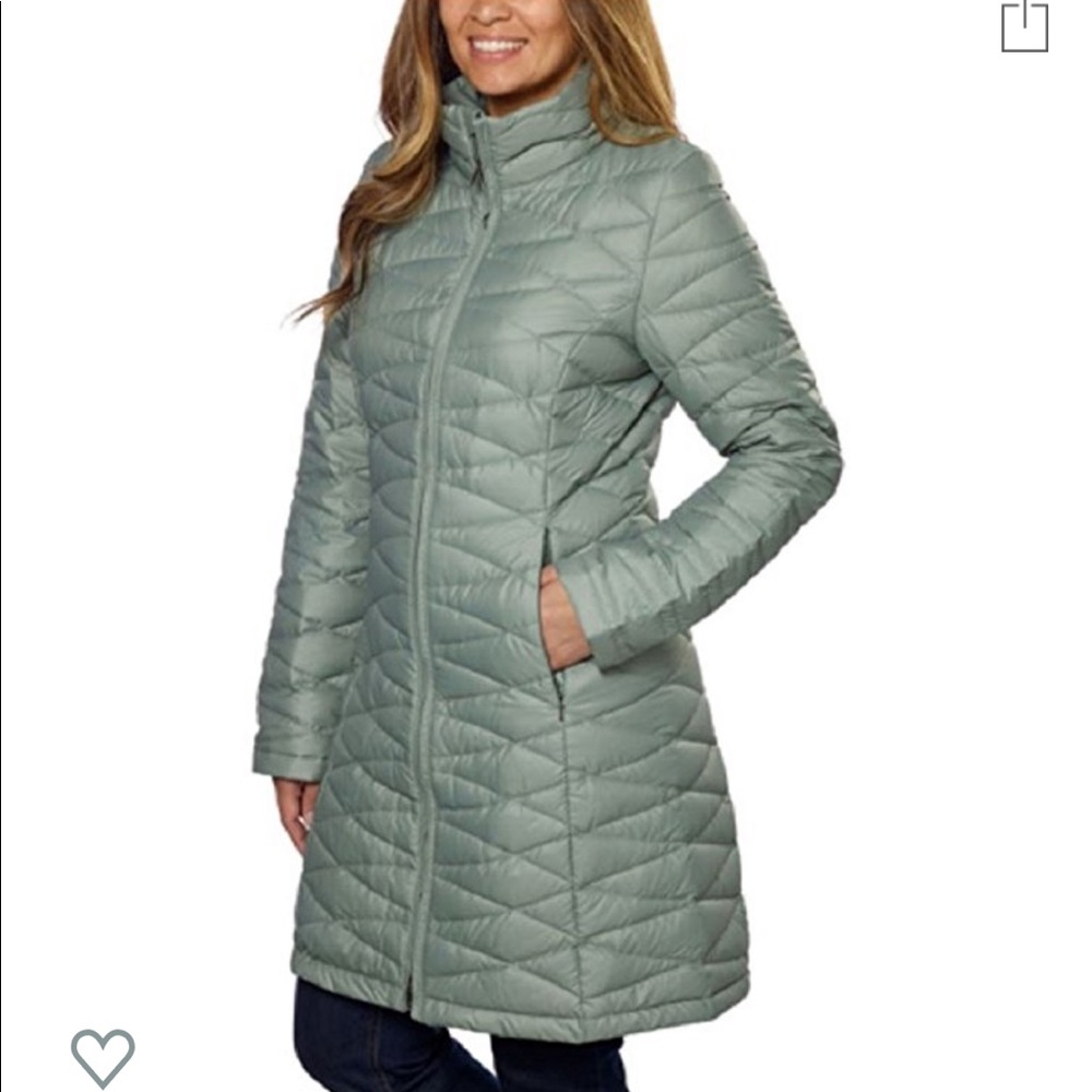 Patagonia ultra light Fiona parka coat